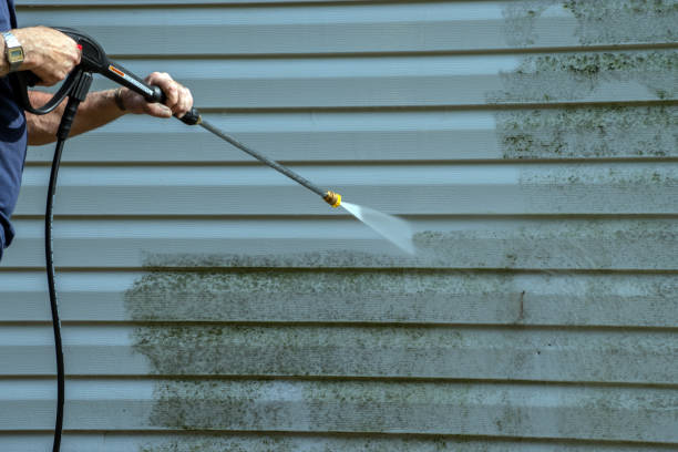 Best Gutter Cleaning  in North Hornell, NY